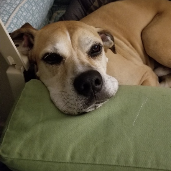 Meet your Posher, Jane - Picture 1 of 1